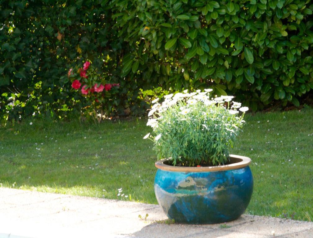 Les Hibiscus Bed and Breakfast Maisons-Laffitte Eksteriør billede